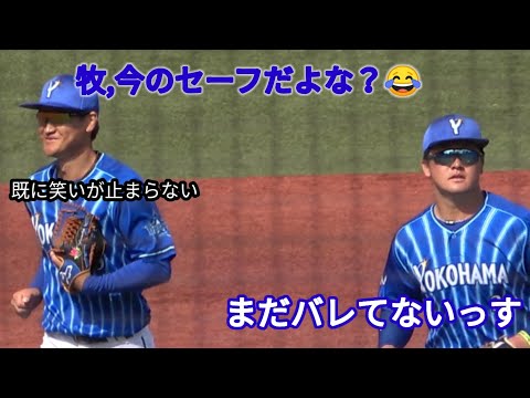 多分リクエストされると確信しながらベンチに戻る大和さん♪ 横浜DeNAベイスターズ  ヤクルト オープン戦 2022年3月16日