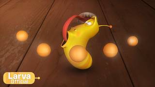 ping pong animation compilation larva tuba official