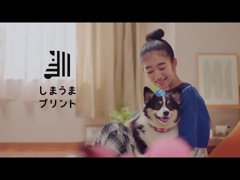 しまうまプリントTVCM「思い出カタチにしたくなっちゃうプライス」ペット編 15秒