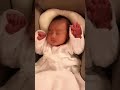 赤ちゃんおちびーぬ❤️パーをするの巻き