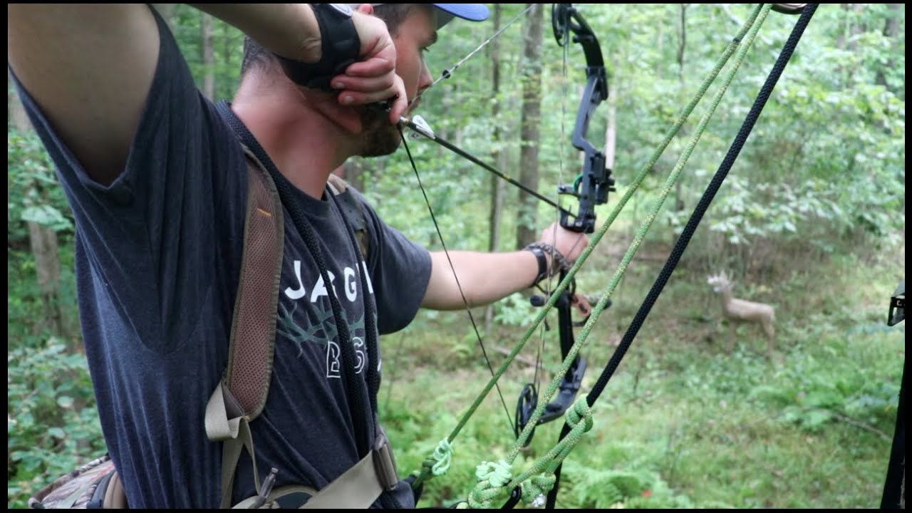 My SADDLE Hunting Setup!!! YouTube
