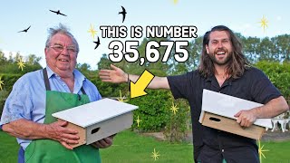 Why Is He Building 40,000 Bird Boxes?