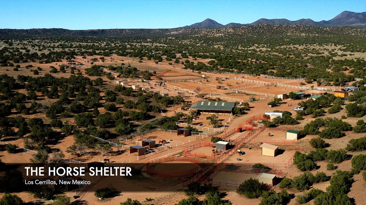 The Horse Shelter   EquuStyle Magazine Summer 2025