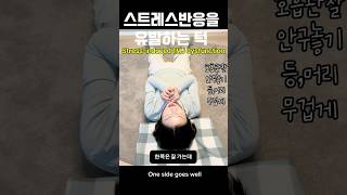 교감신경활성화와 스트레스반응 #관찰 #뇌가소성 #턱통증