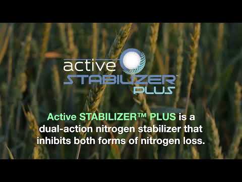 Active STABILIZER™ PLUS