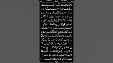 سورة آل عِمرآن -الصفحة  11  -سعد الغامدي .🤍🌿 1  #المصحف #ترتيل #راحة_نفسية #تكرار
