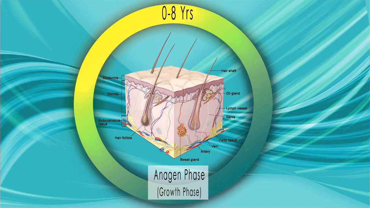 Breakthrough in Hair Loss Hair Restore Advanced Mechanism of Action