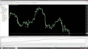 Everex Elite Best Expert Advisor backtest