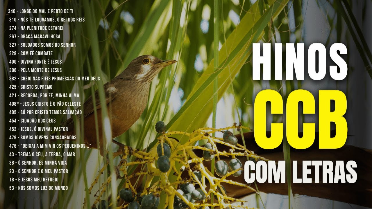 Hino CCB Com Letras | Deus Visita Lares e Transforma Histórias 🙏🎶 #hinosccb #ccbhinos