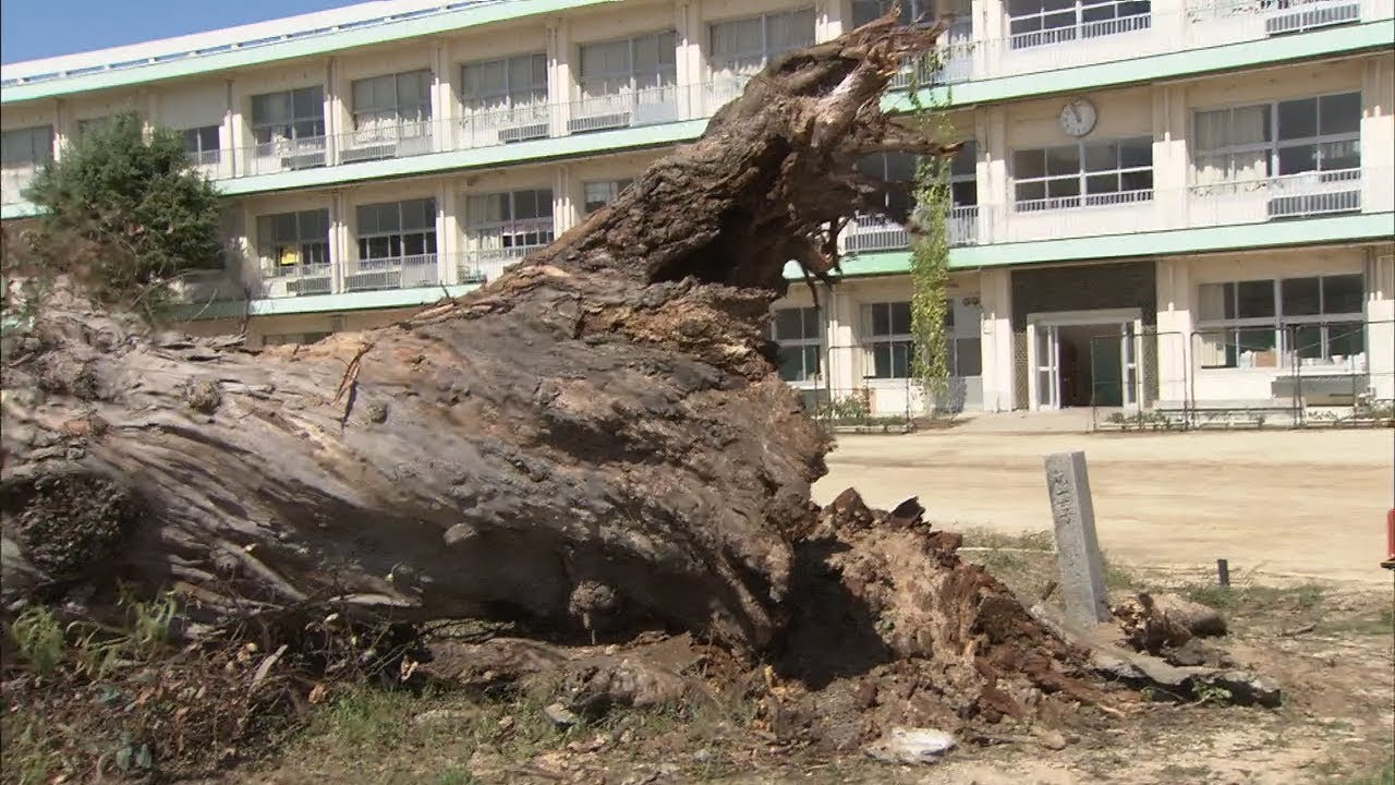 台風24号の影響…香川でもがけ崩れや屋根落下 - YouTube