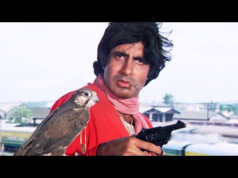 क ल अगर ब ज बनकर त म ह र सर प ब ठ गय न त स ध जम न म घ स ज ओग अम त भ बच चन जबरदस त स न