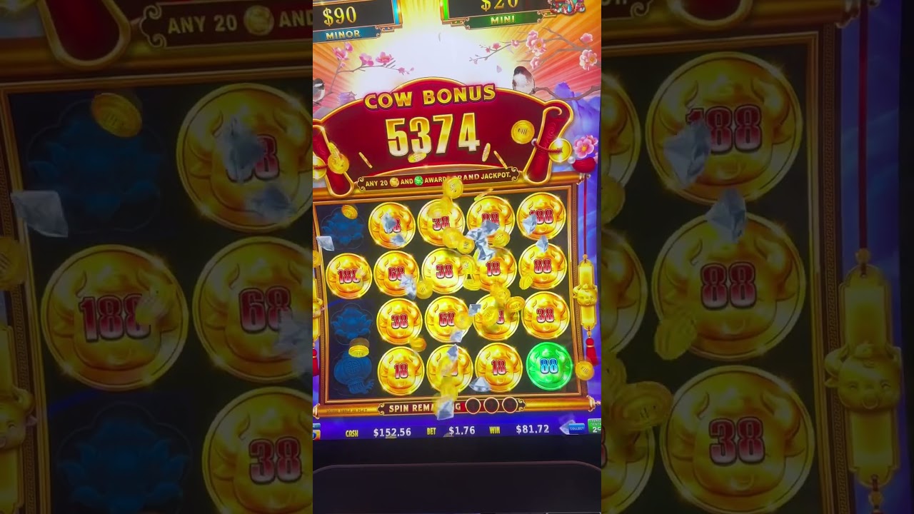 Coin Combo Hold & Spin Bonus Video🐘🌳🪙