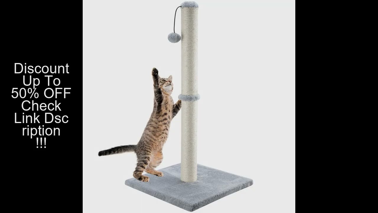 Tall Cat Scratching Posts For Indoor Cats And Kittens Cat Scratchers With Dangling Ball Vertical Scr