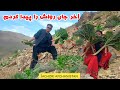           مرکز رواش را پیداکردم جاغوری اف