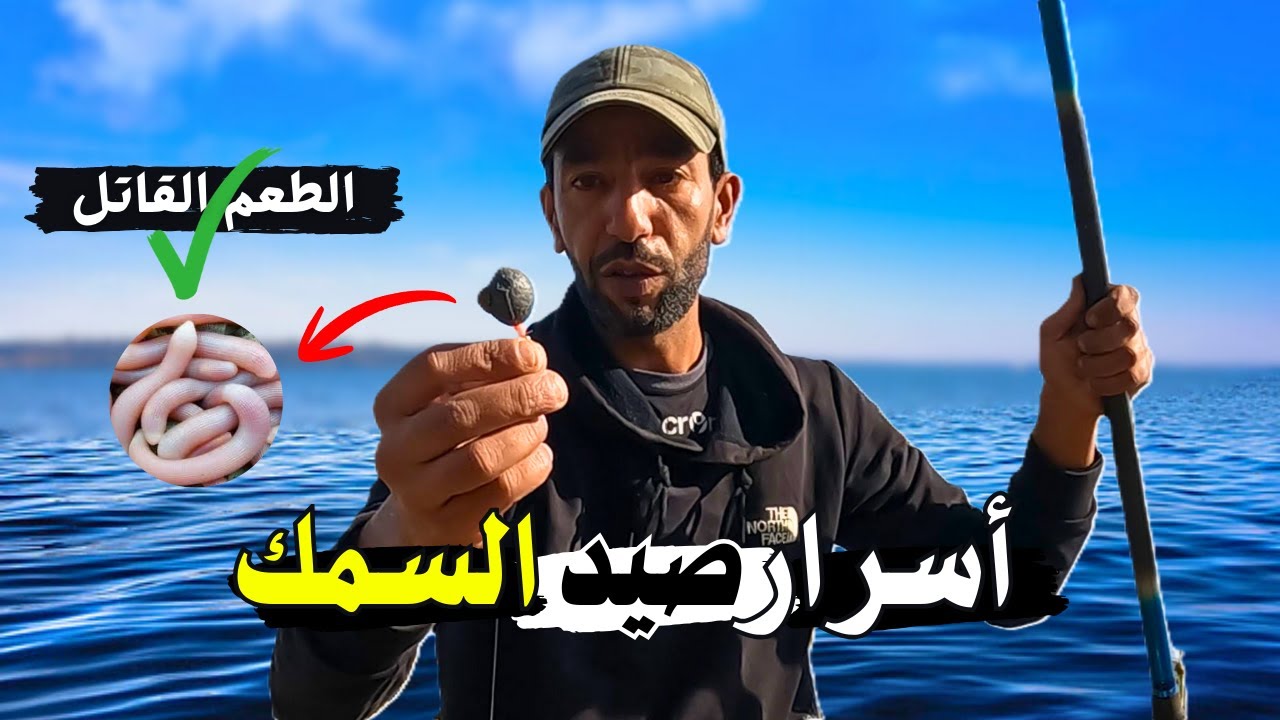 رحلة البحث عن الأسماك الكبيرة + أقوى طريقة لجمع الطعم!