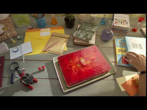 როგორ გამოიყურება ორსული მაკა ჩიჩუა