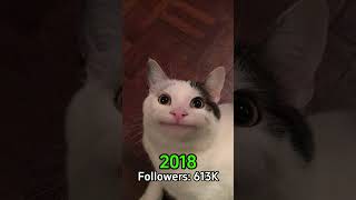 The most iconic memes then vs now #cat #evolution #viral #catmemes #memes #1mviewers