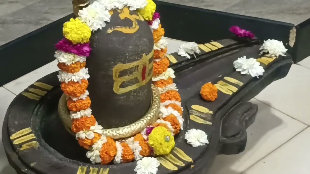 संध्या आरती श्री अमृतेश्वर महादेव | 11/01/2026