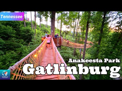 Video: Chi possiede lo skybridge di gatlinburg?