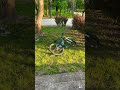 some riding clips #emoto #surron #mtb #bikelife #mtblife