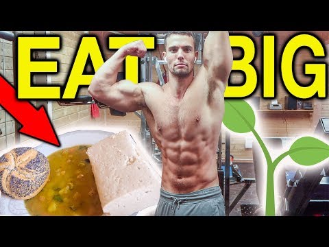 vegan-bodybuilder-workout-&-how-i-boost-plant-based-protein-intake!