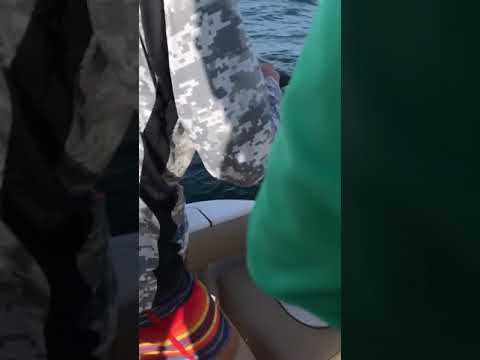 John Fighting Kingfish