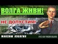 Зарыбление Волги толстолобиком и белым амуром  Волгоград 2017