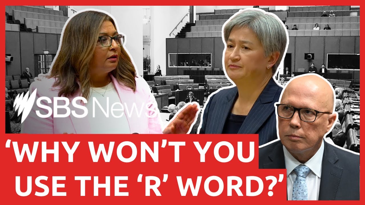 Mehreen Faruqi repeatedly asked to withdraw comments targeting Dutton and Hanson on racism | SBSNews