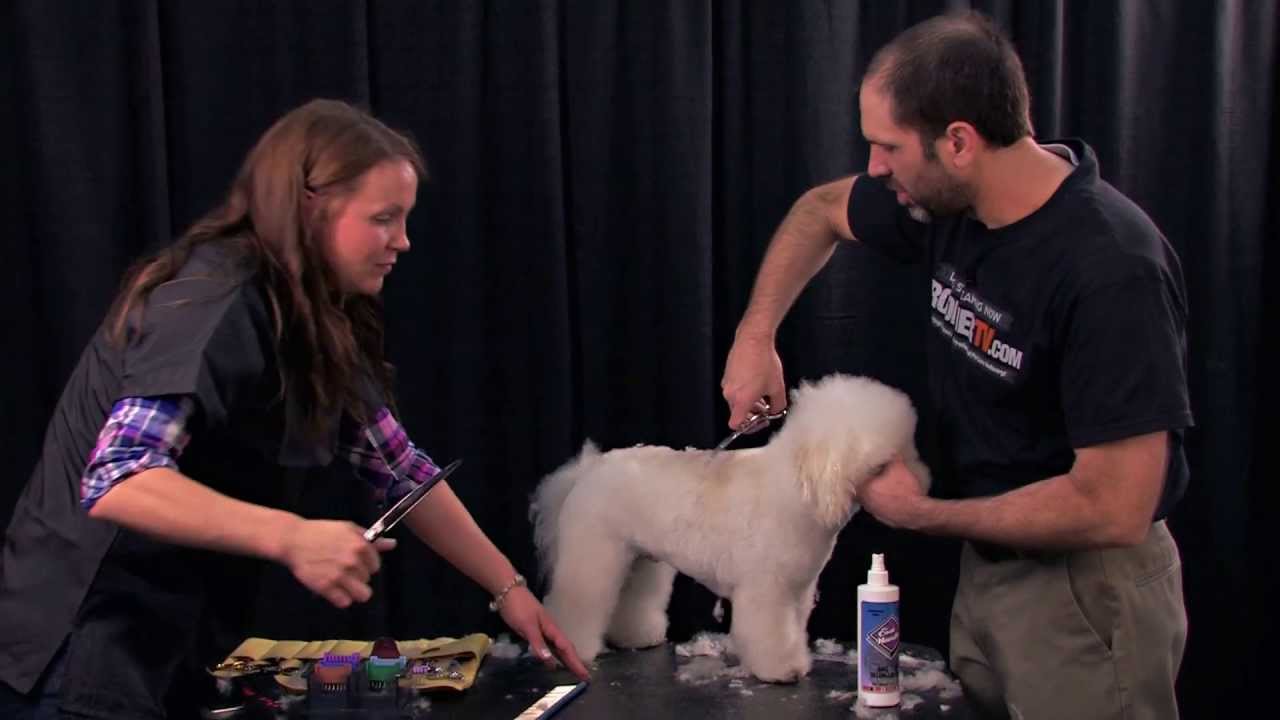 jay scruggs mobile grooming