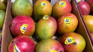 Kent Mango!