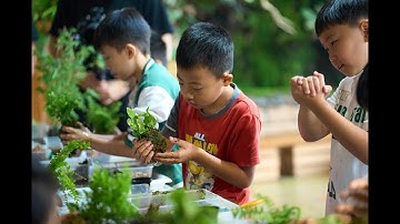 Little Explorers Nature Science Workshop for Age 9-12