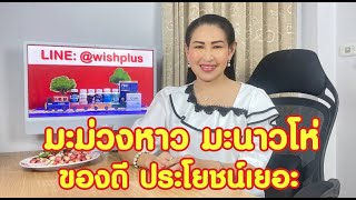 มะม่วงหาว มะนาวโห่ ประโยชน์ล้ำ