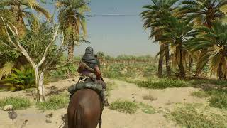 "Joy Beneath Weeping Palms" Enigma - Assassin's Creed Mirage Enigma puzzle solution