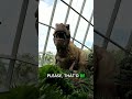 clip_04_Real_Jurassic_World_Theme_Park_Exists