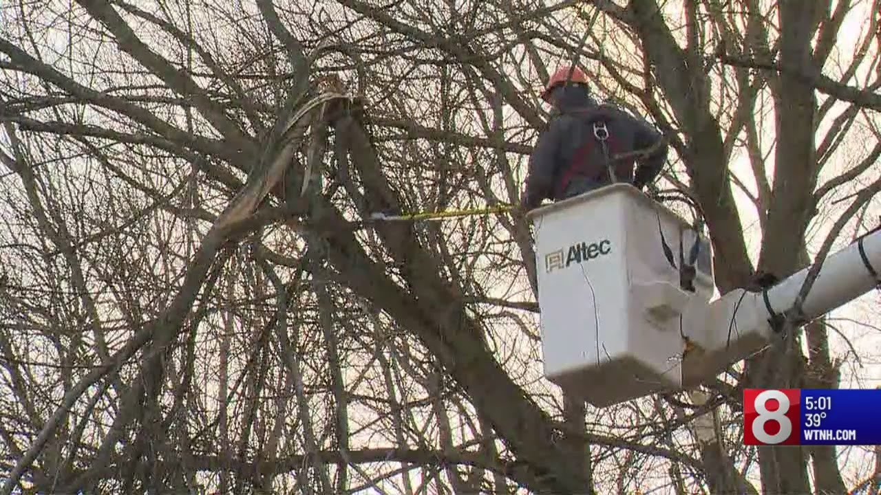 Strong winds knock out power, down branches on Monday - YouTube