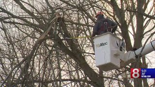 Strong winds knock out power, down branches on Monday