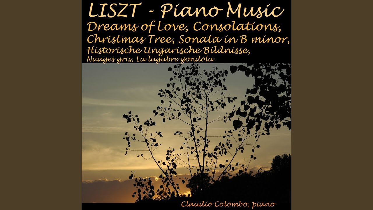 6 Consolations, S. 172: No. 2. Un poco più mosso