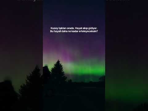 Hepsi tek başına çözmen gereken onlarca problem. ✨