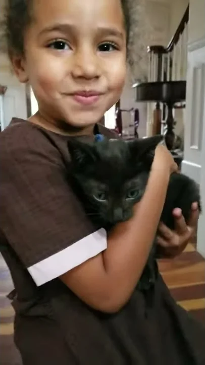 Video 1035651: f5 savannah kitten, savannah boy, blue savannah