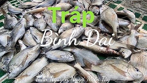 Lần đầu đi câu cá tráp ( cá hanh) bầy đàn ở bình đại bến tre , quá khủng khiếp @ Tuấn Nguyễn NMT .