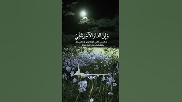 تلاوة تلامس القلب وما أجمل الصوت