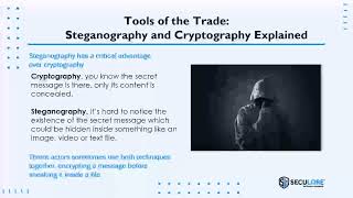 How APTs Use Steganography and Cryptography  - Advanced Persistent Threat: Fear the Disruption