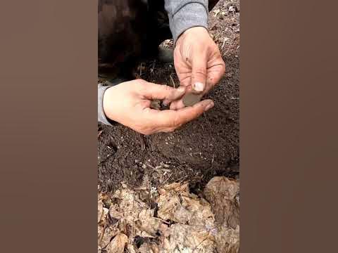 Открытие сезона 2024. Сравниваем металлоискатели. Нокта симплекс плюс и ...