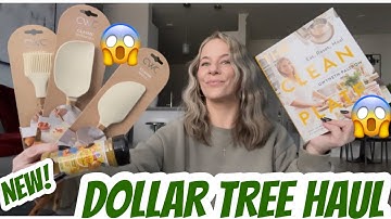DOLLAR TREE HAUL | NEW | AMAZING BRAND NAME FINDS 