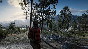 Red Dead Redemption 2: Breathtaking 4K 60fps Max Settings with Realistic Reshade Mod