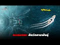 ใต้ทะเลลึกที่เต็มไปด้วยสัตว์กลายพันธุ์ (สปอยหนัง) Abyssal Spider