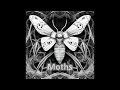 Vashirera  moths