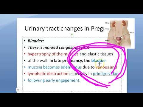 Bladder and vaginal problems during and after pregnancy 