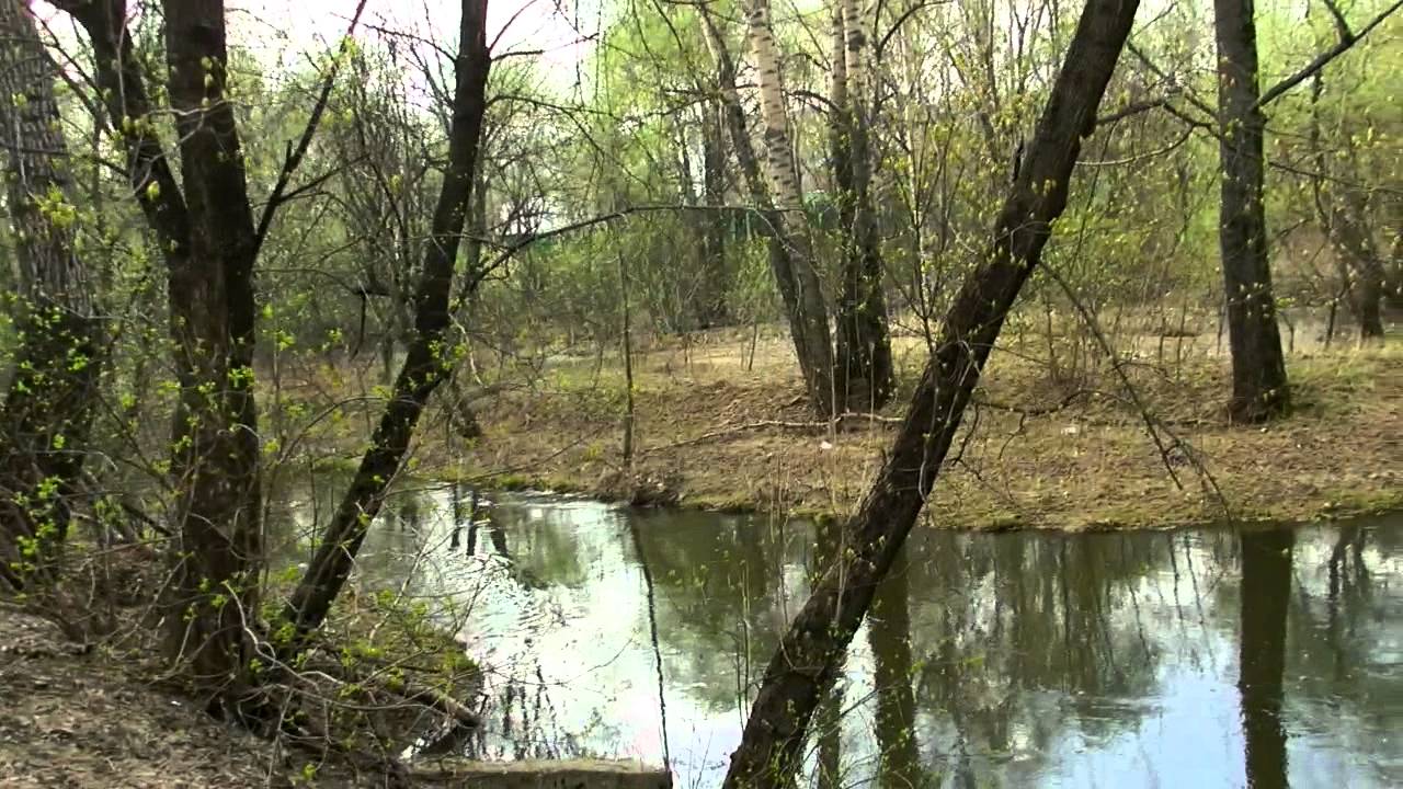 Река Яуза с парком возле метро Бабушнинская