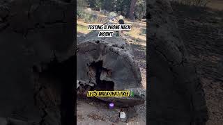 Testing a Phone Neck Mount #gadgets #bigbear #bbl #hiking #hikingadventures #tech